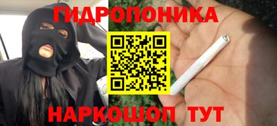 ECSTASY Новозыбков