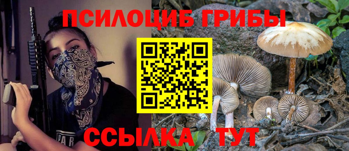 Галлюциногенные грибы Psilocybine cubensis Унеча