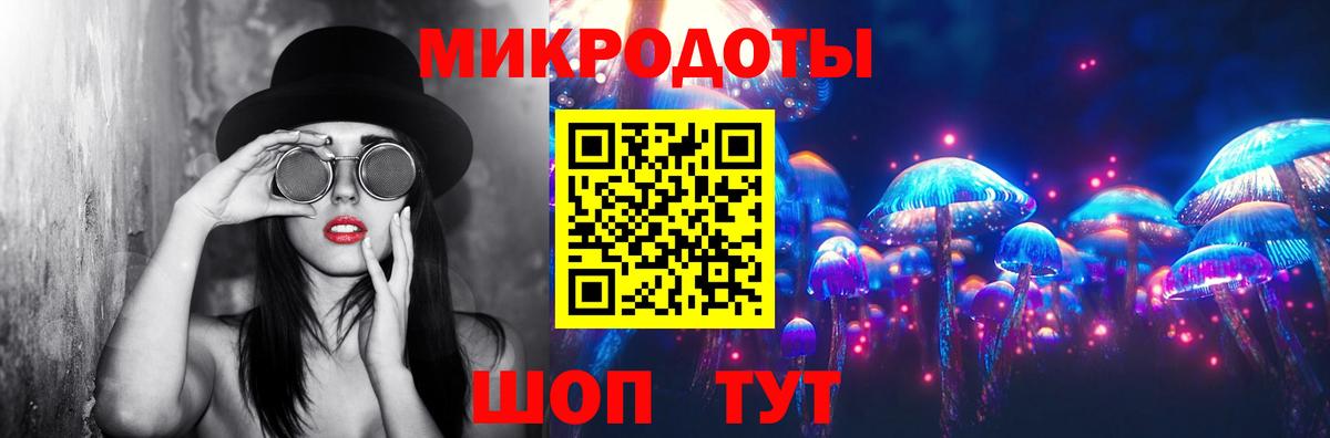 Псилоцибиновые грибы Psilocybe  Вход с VPN  Унеча 